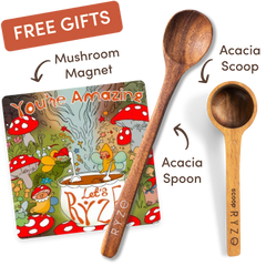 Cocoa Free Gift Bundle - Ready Routine