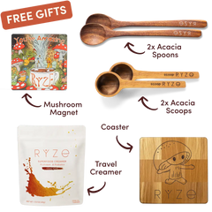 Free Premium Gift Bundle - Travel Edit