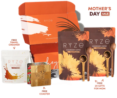 Free Premium Gift Bundle - Travel Edit