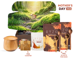 Cocoa Free Gift Bundle - Ready Routine