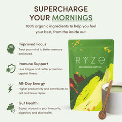 Matcha (1 Pack - 30 Servings) - Fresh Style