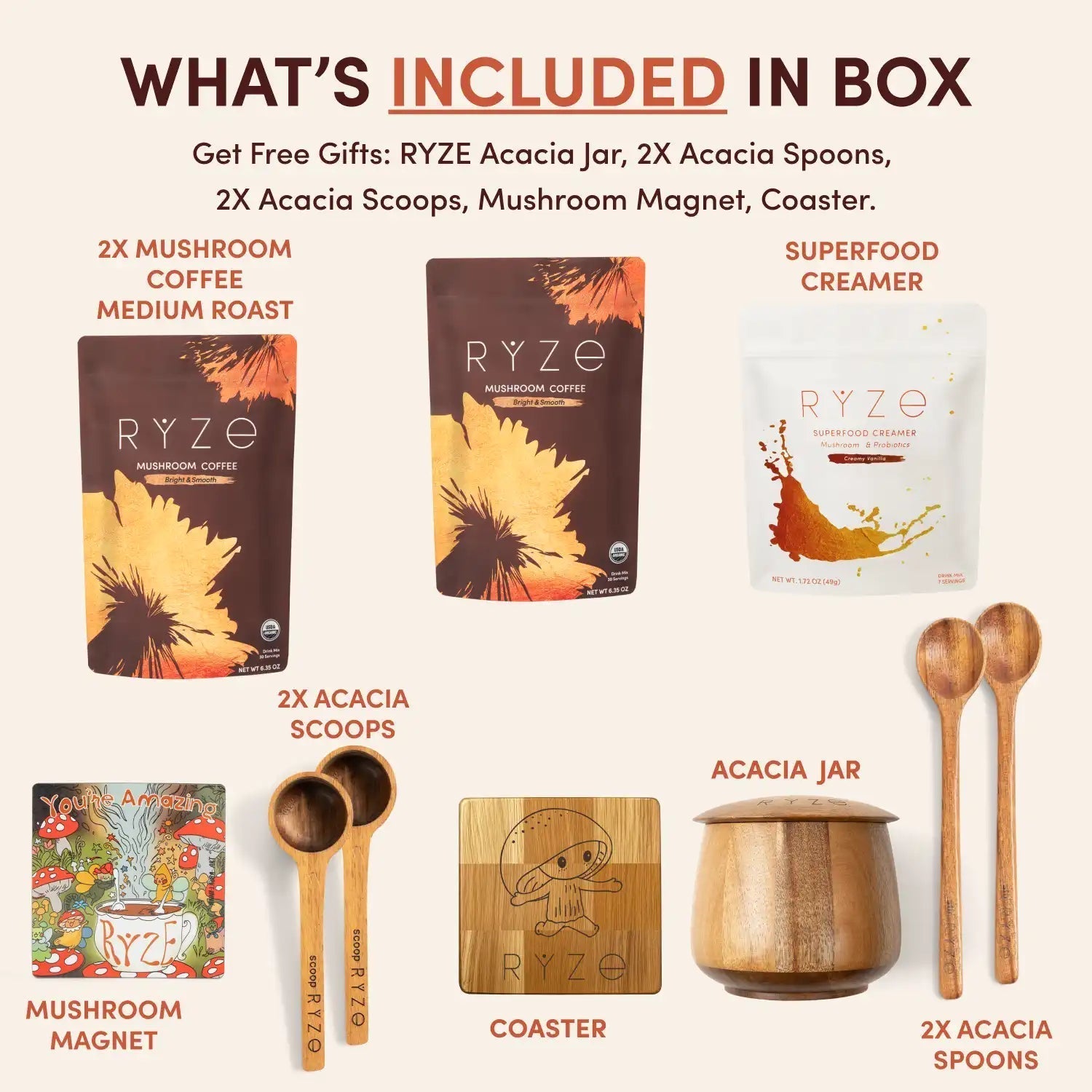 Cocoa Free Gift Bundle - Ready Routine
