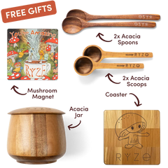 Cocoa Free Gift Bundle - Ready Routine