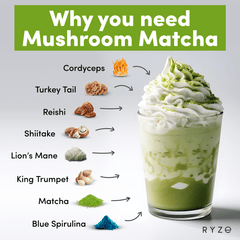 RYZE Matcha - with 6 Organic Adaptogenic Mushrooms Grown In USA and Ceremonial-Grade Japanese Matcha - Clean Bundle