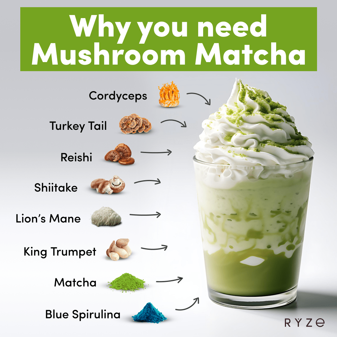 RYZE Organic Matcha Starter Kit (60 servings) - Clean Bundle